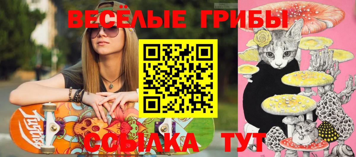 Галлюциногенные грибы GOLDEN TEACHER Назарово