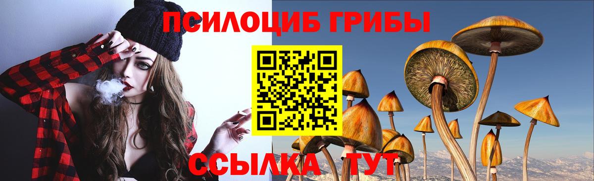 Псилоцибиновые грибы GOLDEN TEACHER  Вход с VPN  Псилоцибиновые грибы Cubensis  Назарово 